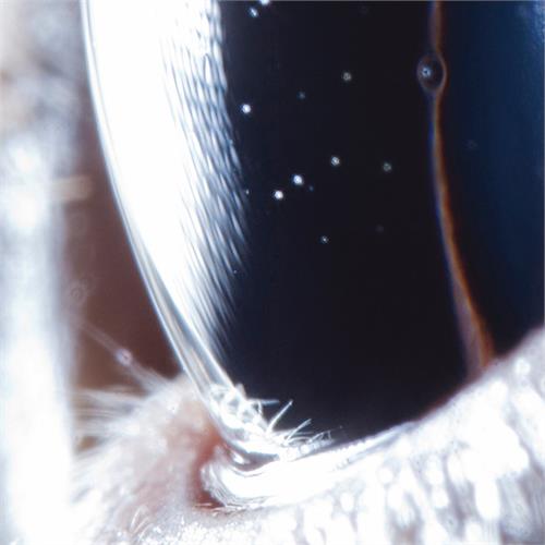 Roly Porter Third Law (LP) 